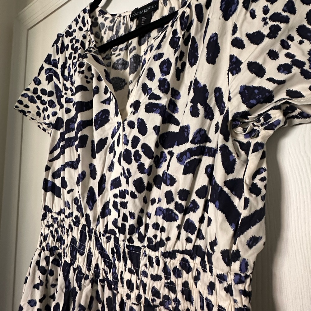 Cynthia Rowley Blue and White Maxi Dress
